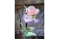 Iris en soie